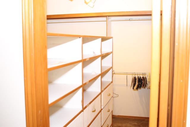 view of closet