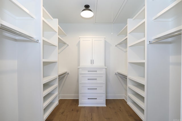 spacious closet featuring dark hardwood / wood-style flooring