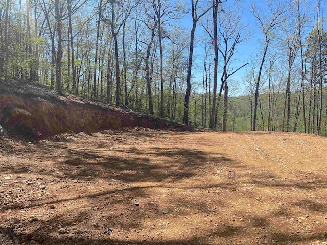 000 Aaron Hollow, Mountain View AR, 72560 land for sale