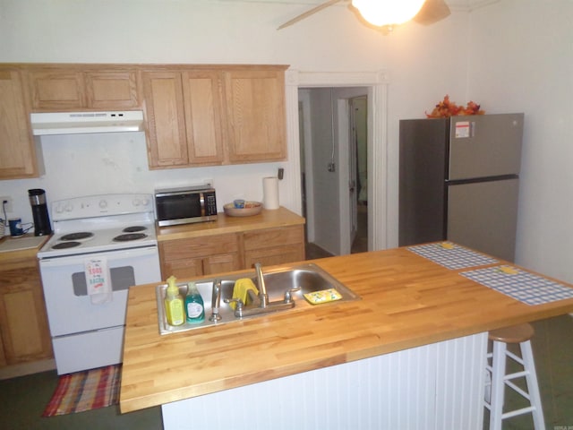 kitchen featuring a ceiling fan, butcher block countertops, stainless steel appliances, under cabinet range hood, and a sink