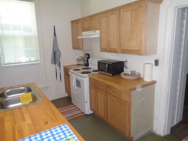 kitchen featuring electric stove, butcher block counters, stainless steel microwave, under cabinet range hood, and a sink