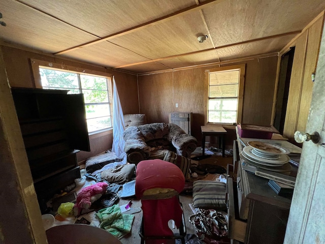 miscellaneous room featuring a healthy amount of sunlight and wood walls