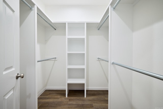 walk in closet featuring dark hardwood / wood-style flooring