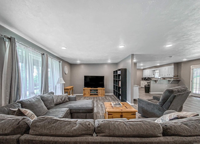 living room featuring light hardwood / wood-style flooring