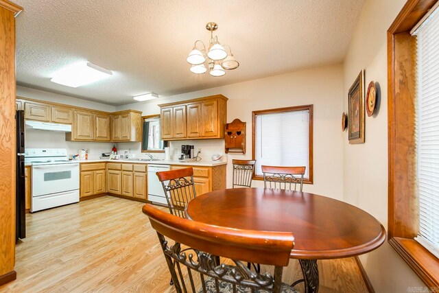 kitchen featuring a textured ceiling, a chandelier, light hardwood / wood-style floors, white appliances, and sink