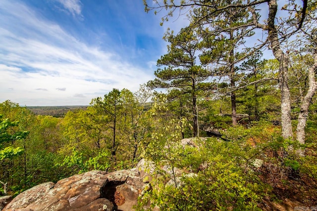 view of local wilderness