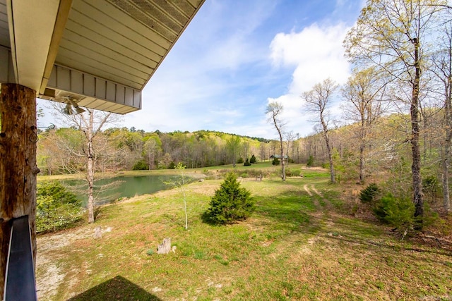 view of yard featuring a water view