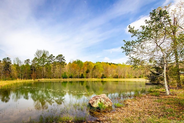 property view of water