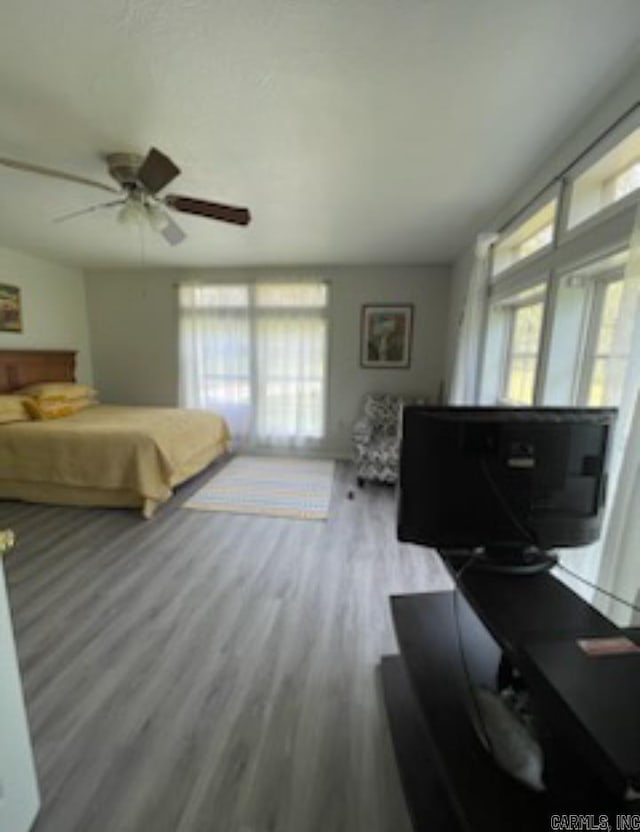 bedroom with ceiling fan and hardwood / wood-style floors