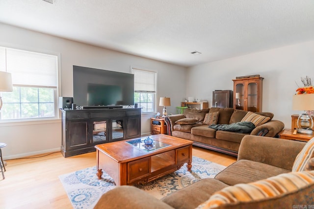 living room with light hardwood / wood-style floors and plenty of natural light