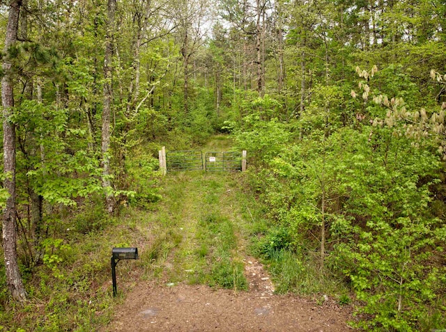 Listing photo 2 for 9319 Albert Pike Rd, Royal AR 71968