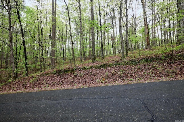 LOT15 Doscientos Way, Hot Springs Village AR, 71909 land for sale