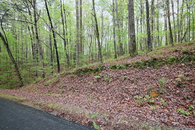 Listing photo 3 for LOT15 Doscientos Way, Hot Springs Village AR 71909