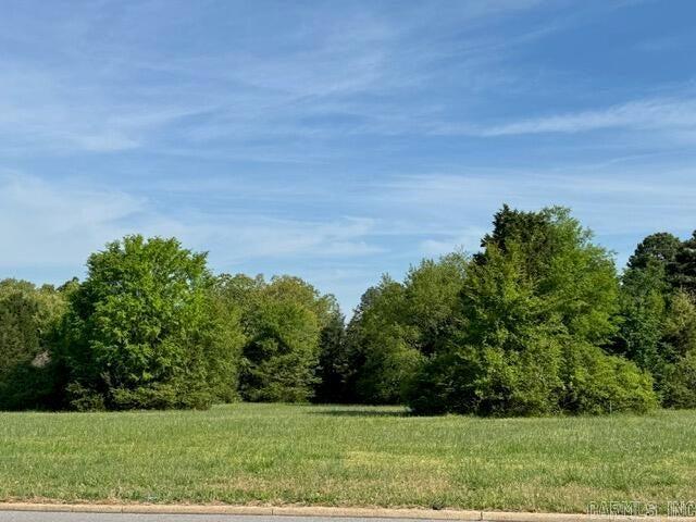 Listing photo 2 for Eagle Mountain Blvd, Batesville AR 72501