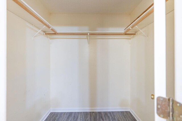 spacious closet featuring hardwood / wood-style flooring