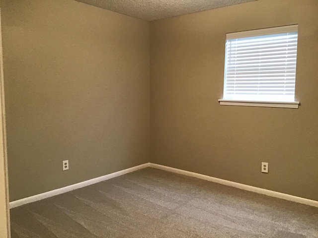 empty room with a wealth of natural light, carpet floors, and a textured ceiling