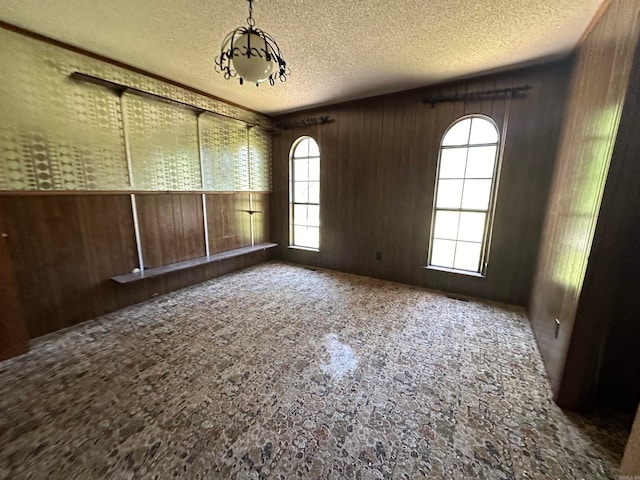 unfurnished room with a healthy amount of sunlight, wooden walls, and a textured ceiling