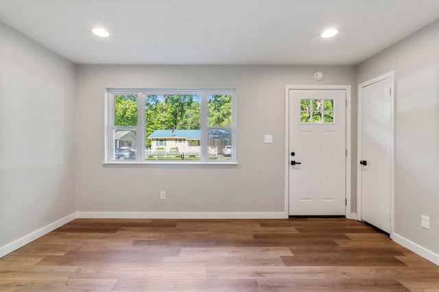 foyer featuring a wealth of natural light and hardwood / wood-style flooring