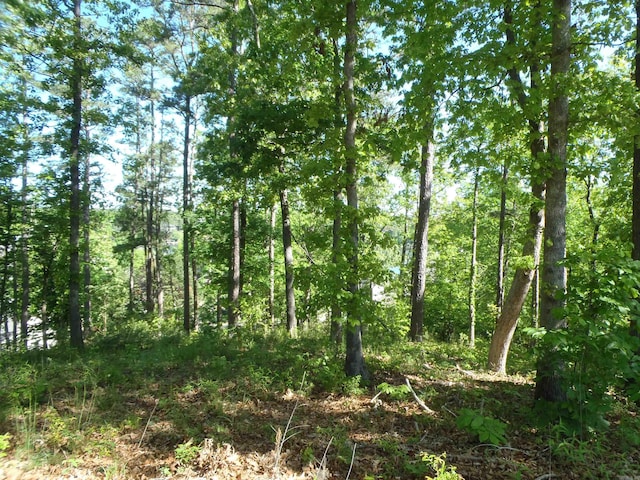 Listing photo 3 for LOT67 Osprey, Hot Springs AR 71913