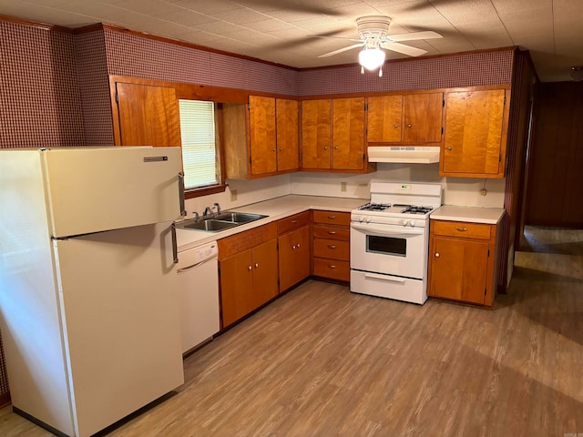 kitchen featuring ceiling fan, white appliances, light wood-type flooring, and sink