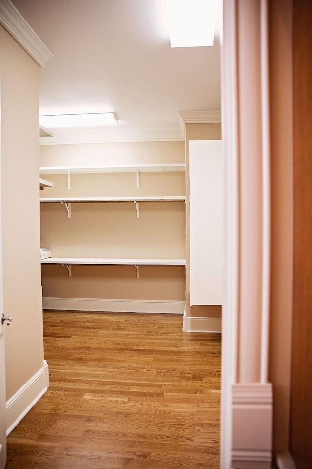 interior space with light wood-type flooring