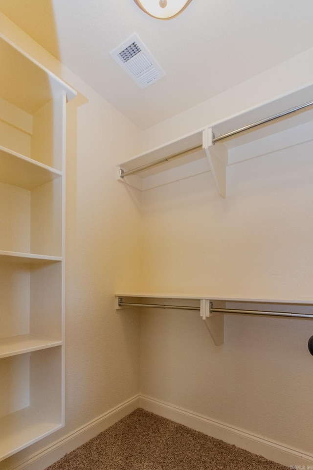 spacious closet featuring carpet flooring