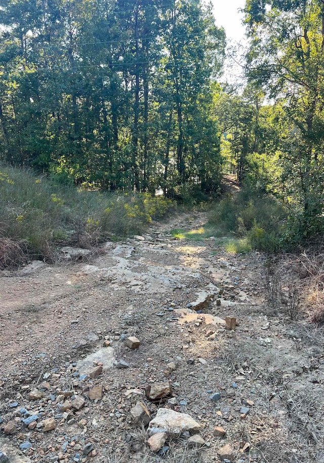 view of local wilderness