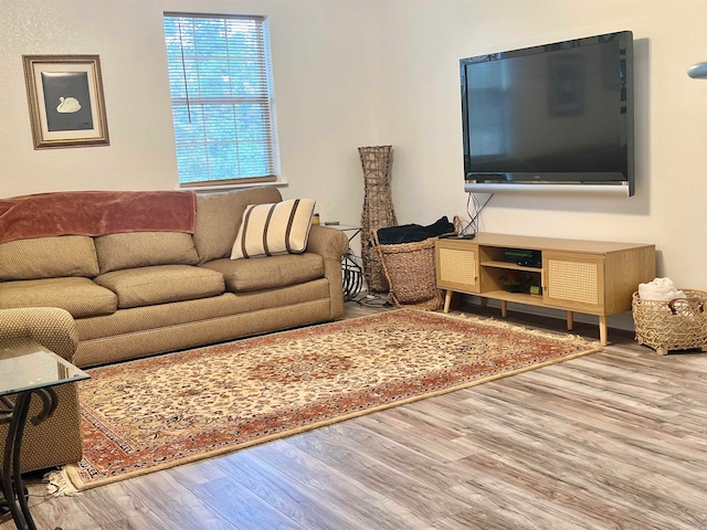 living room with light hardwood / wood-style floors