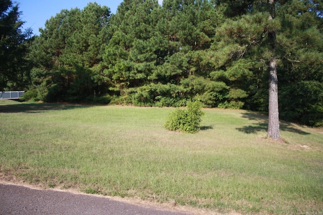 Address Not Disclosed, Nashville AR, 71852 land for sale