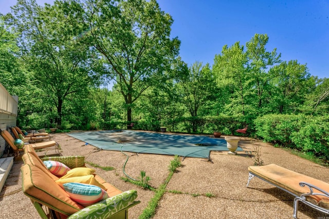 view of pool featuring a patio