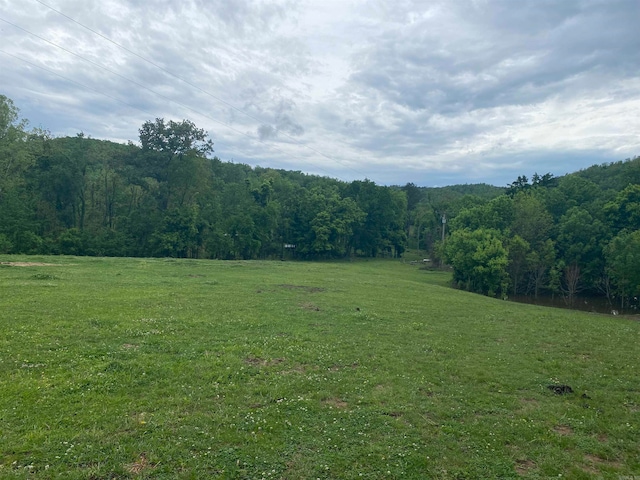 view of local wilderness