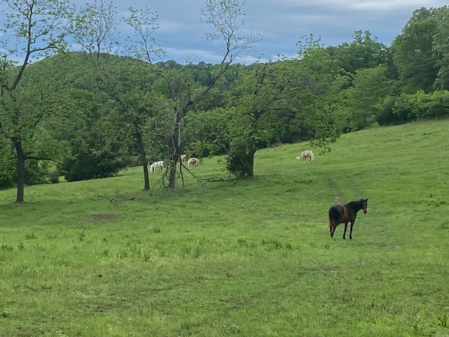 exterior space with a rural view