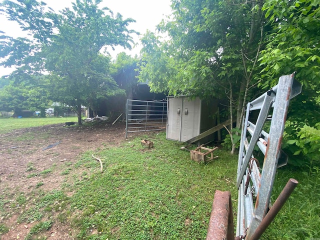 view of yard with a shed