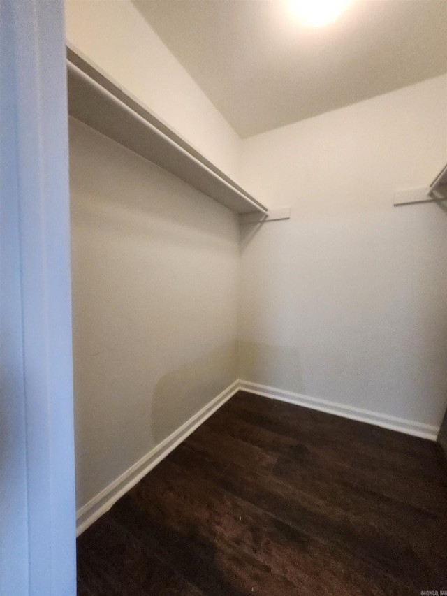 walk in closet featuring dark hardwood / wood-style flooring