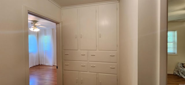 hallway with hardwood / wood-style floors