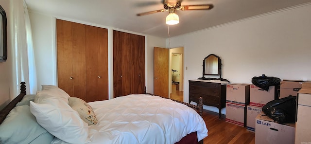 bedroom with ceiling fan, two closets, and hardwood / wood-style flooring