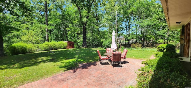 view of yard featuring a patio area and a storage unit