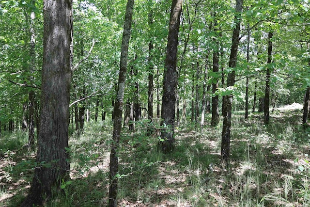 180 Hickory Hill Ter, Hot Springs, AR 71901