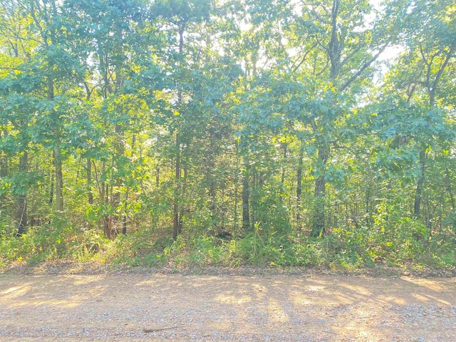 2.88ACRES Red Oak, Pleasant Plains AR, 72568 land for sale