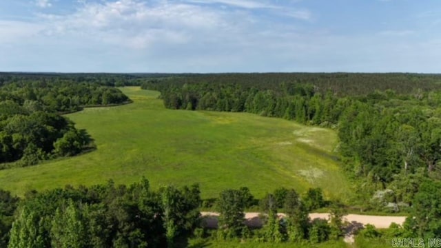 Listing photo 2 for TBD Bluff Springs Rd, Mineral Sprs AR 71851