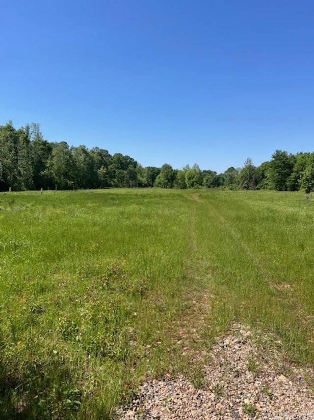 Listing photo 3 for TBD Bluff Springs Rd, Mineral Sprs AR 71851