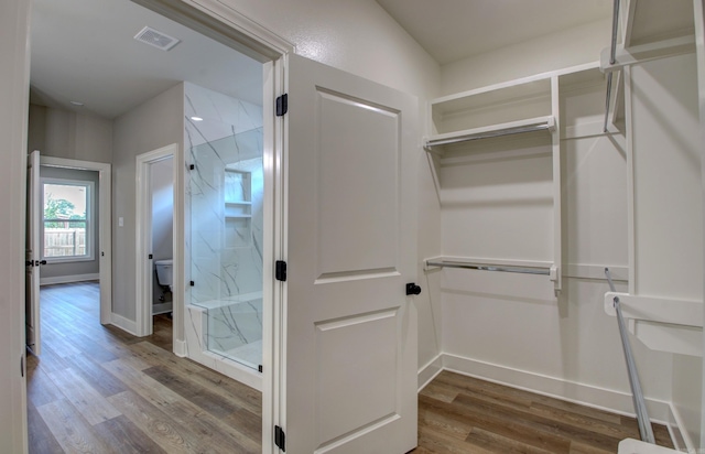 spacious closet featuring wood-type flooring