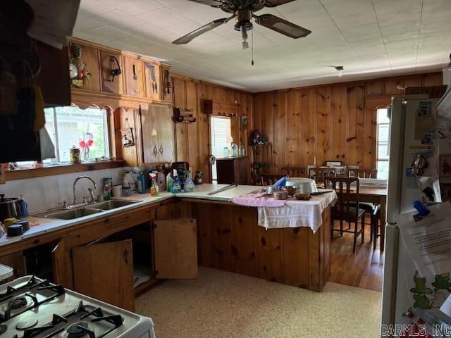 kitchen with stove, fridge, light hardwood / wood-style flooring, sink, and ceiling fan