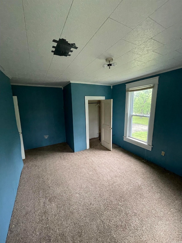 unfurnished bedroom featuring carpet floors