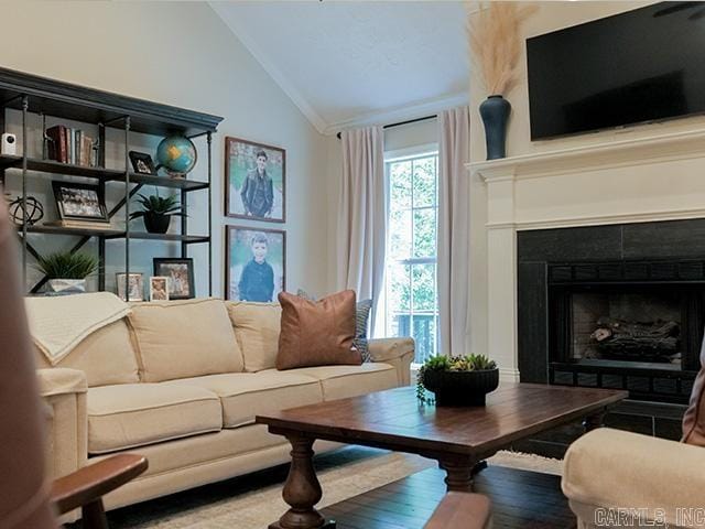 living room featuring wood-type flooring and lofted ceiling