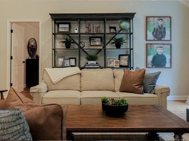 living room with wood-type flooring