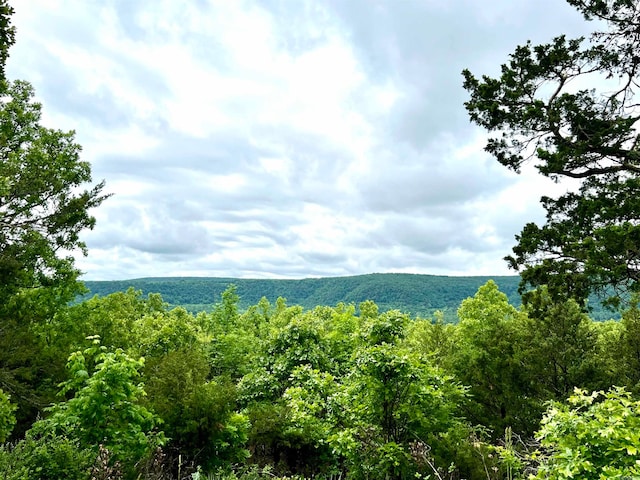 view of property view of mountains