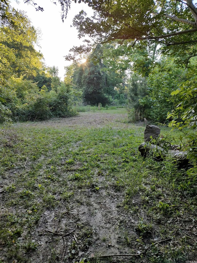 1270 Flagstaff Ave, Camden, AR 71701 - view of yard