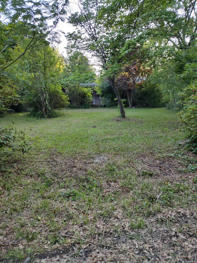 1270 Flagstaff Ave, Camden, AR 71701 - view of yard
