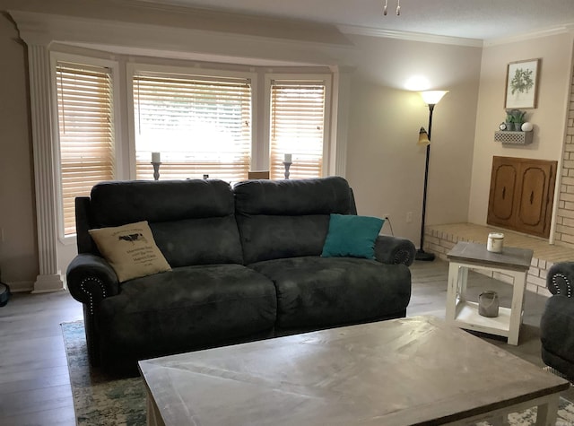 living room with wood-type flooring and crown molding